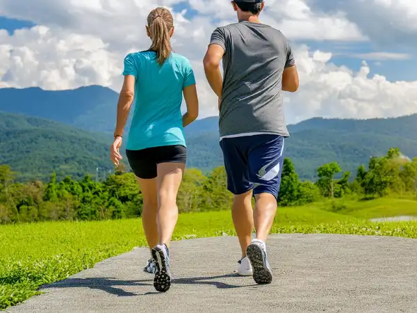 Walking Calorie Calculator